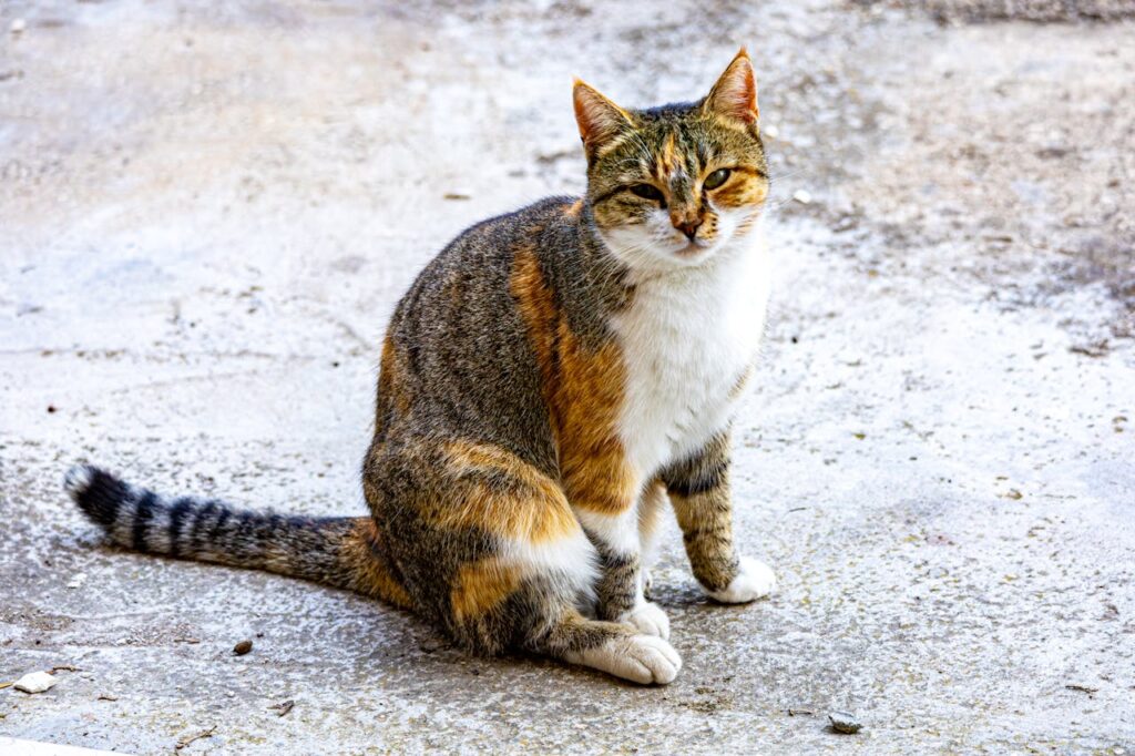 7 Easy Ways to Make Your CV Get Noticed Immediately by Employers